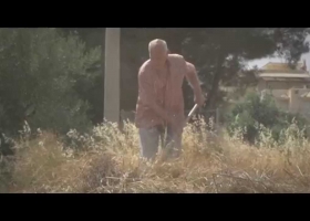 Δασικές Πυρκαγιές (2015)